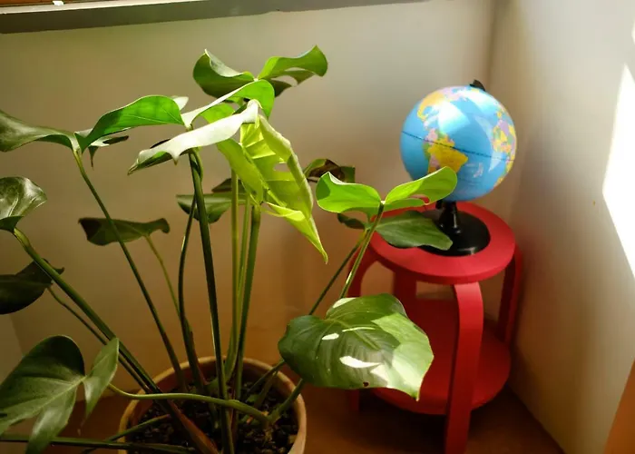 Casinha Pim בית נופש *